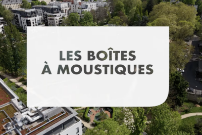 Lire la vidéo 2 sur 3, fenêtre modale