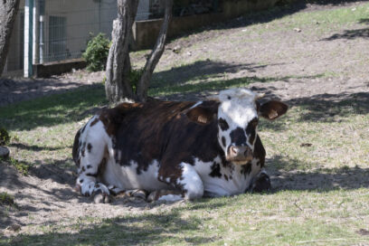 la ferme du Mont Valérien - Agrandir l'image, fenêtre modale