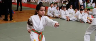 Arts martiaux de Rueil