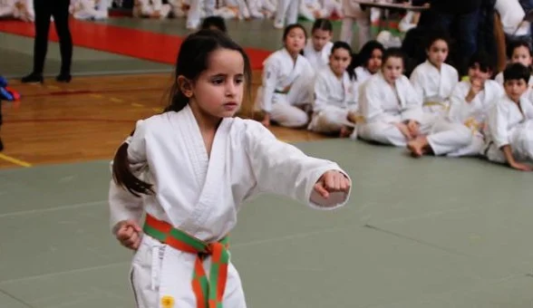 Arts martiaux de Rueil