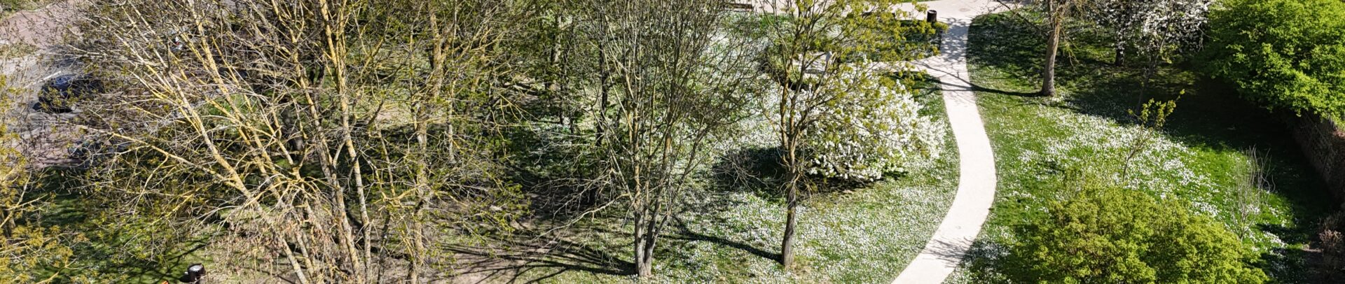 Jardin d'Élodie