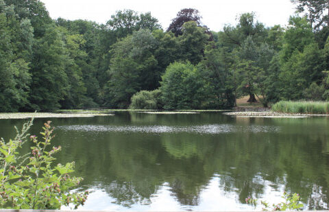 Foret Malmaison