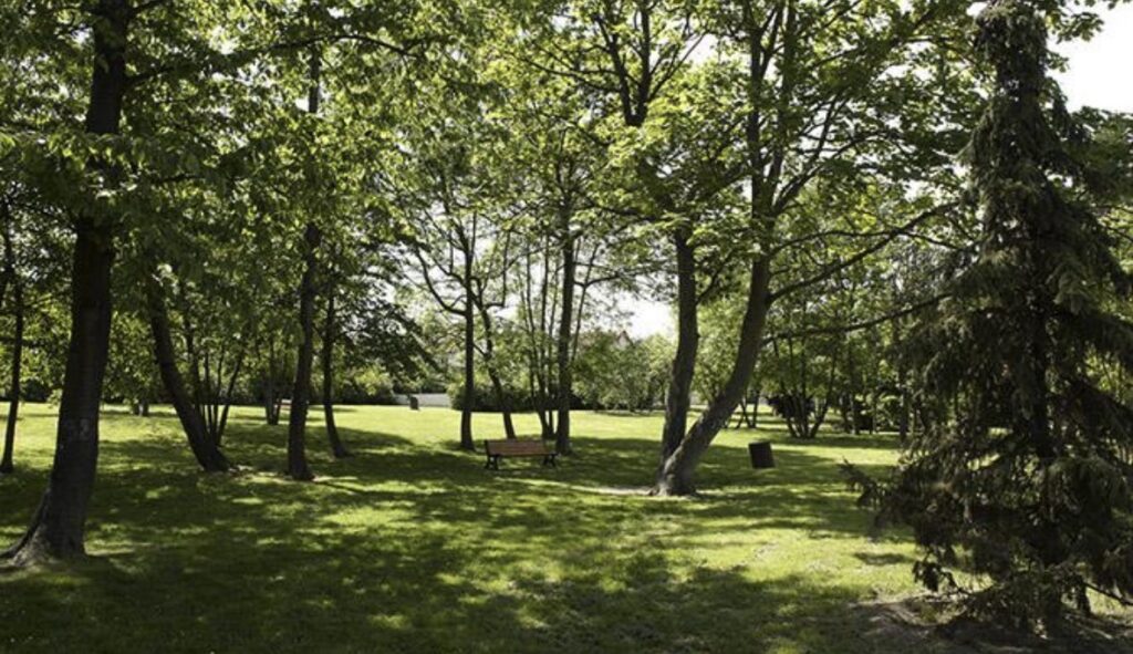 jardin d'élodie - Agrandir l'image, fenêtre modale