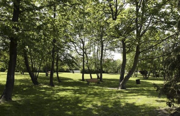 jardin d'élodie