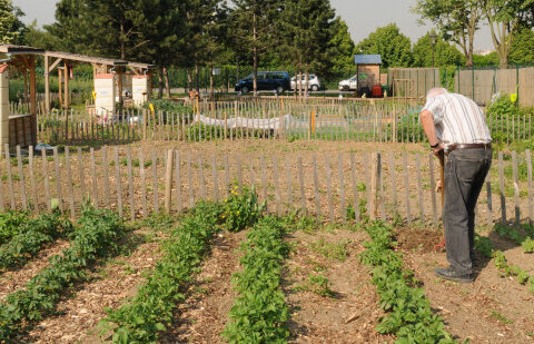 Jardins familiaux