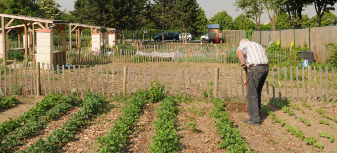 Jardins familiaux