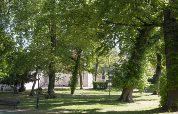 Parc du Pere Joseph