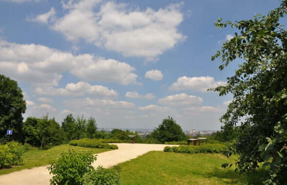 Rueil-Malmaison_Vallon_des_Gallicourts_005