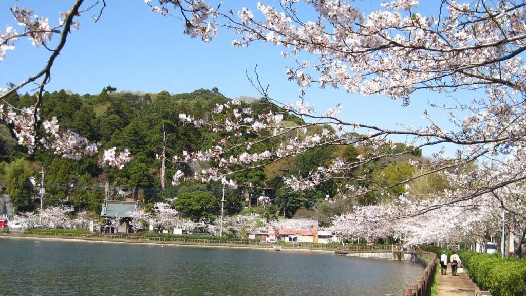 Ville jumelle de Togane au Japon - Agrandir l'image, fenêtre modale