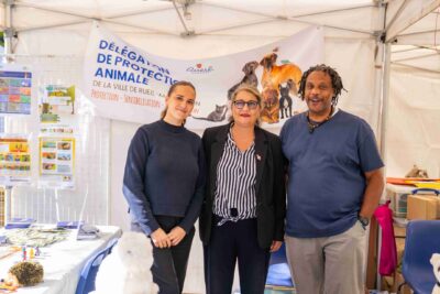 Agrandir l'image 8 sur 34, fenêtre modale