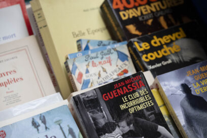 Agrandir l'image, fenêtre modale
