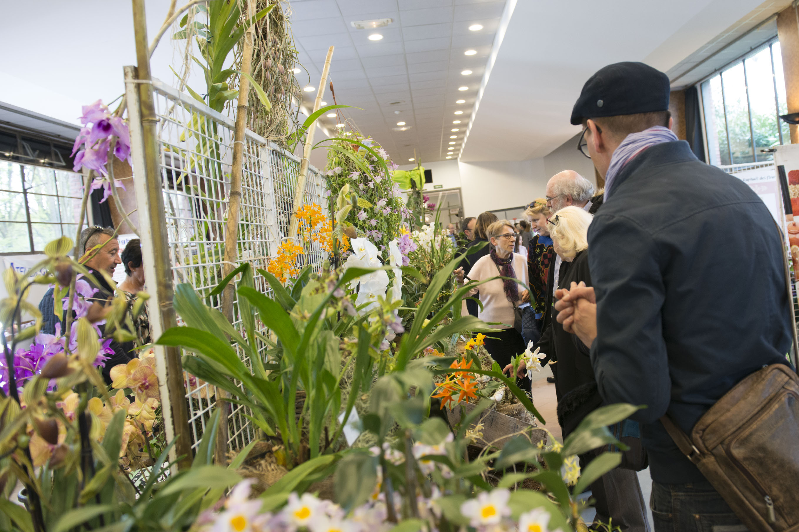 Salon Orchidées